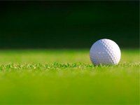 MOTOR JIKOV erweitert seine Zusammenarbeit mit dem amerikanischen Hersteller von Golfwagen