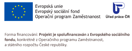Podpora odborného vzdělávání zaměstnanců II (POVEZ II)