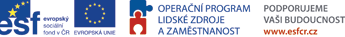 The New Concept for Professional Development of MOTOR JIKOV Group Employees